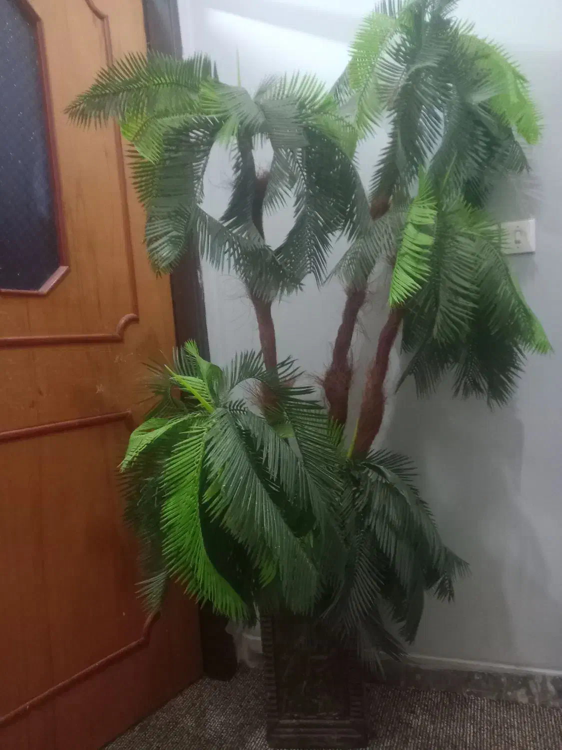 درختچه پنج شاخه تزیینی|گل مصنوعی|دزفول, |دیوار