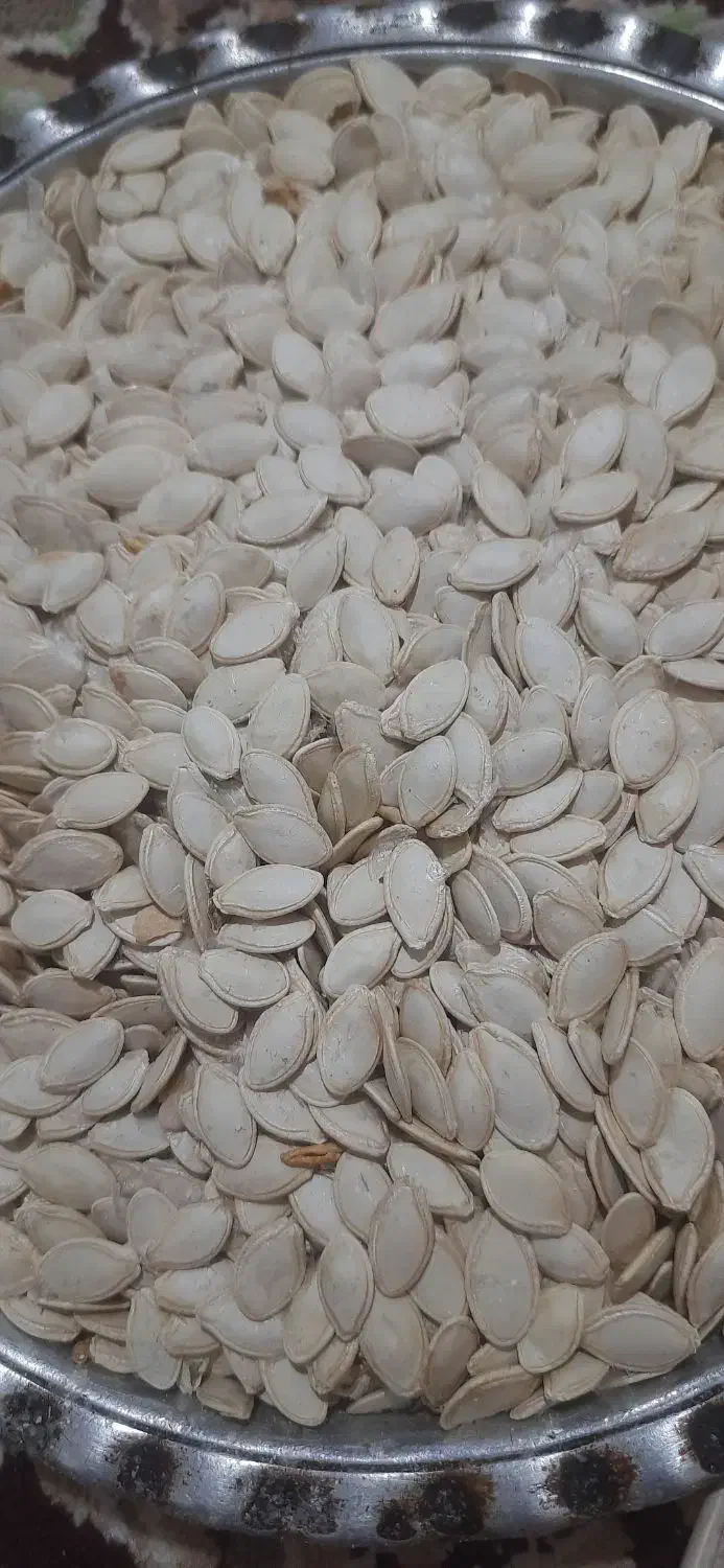 تخم کدو|خوردنی و آشامیدنی|آباده, |دیوار