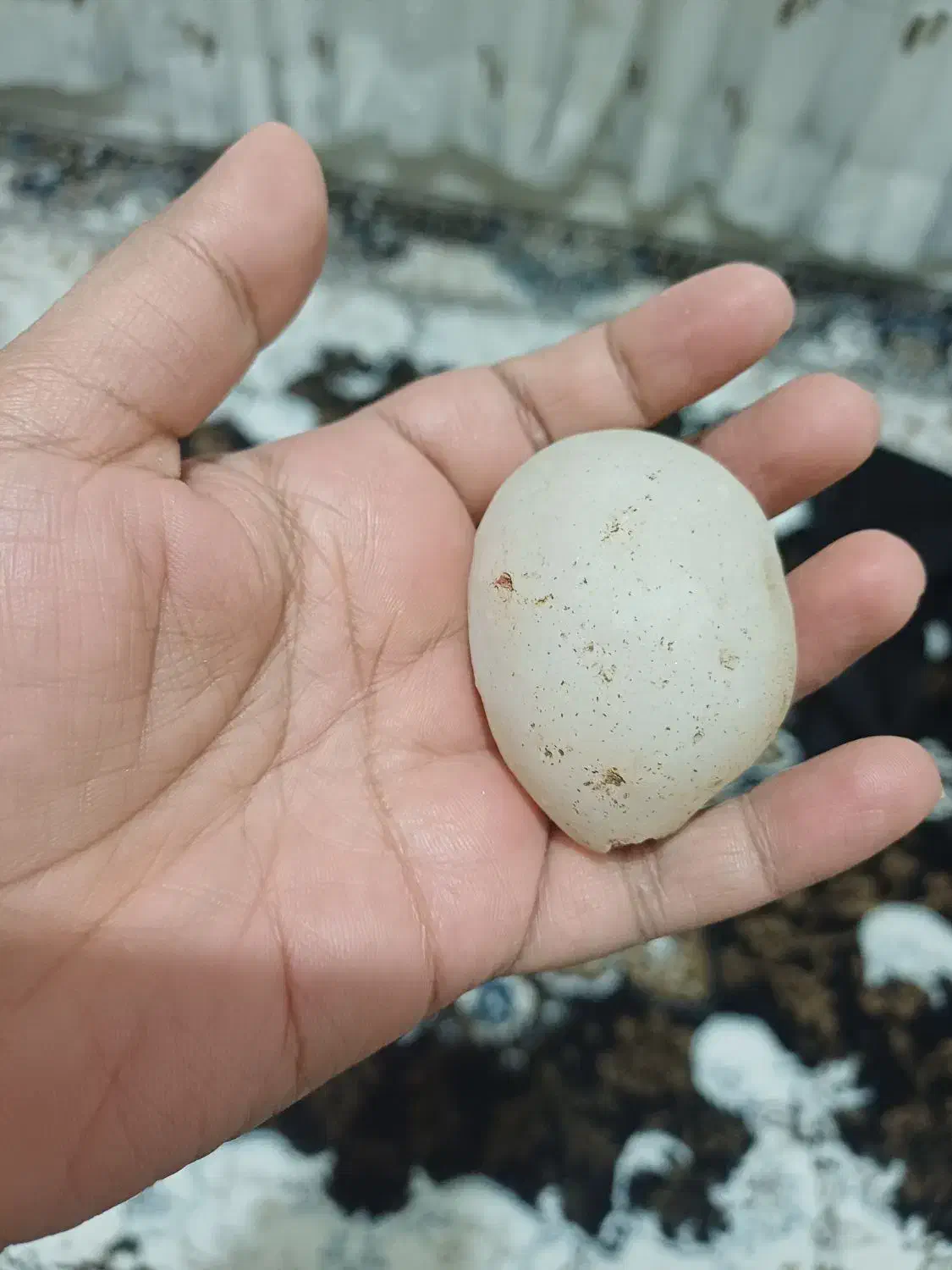 سنگ قیمتی قدیمی|کلکسیون اشیاء عتیقه|ابریشم, |دیوار