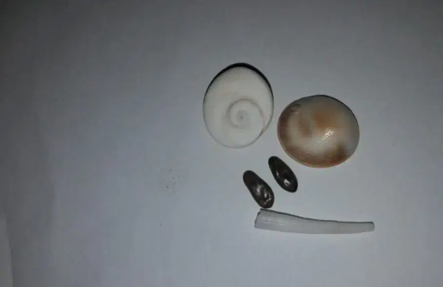 مهره جذب و محبوبیت|بدلیجات|بروجن, |دیوار