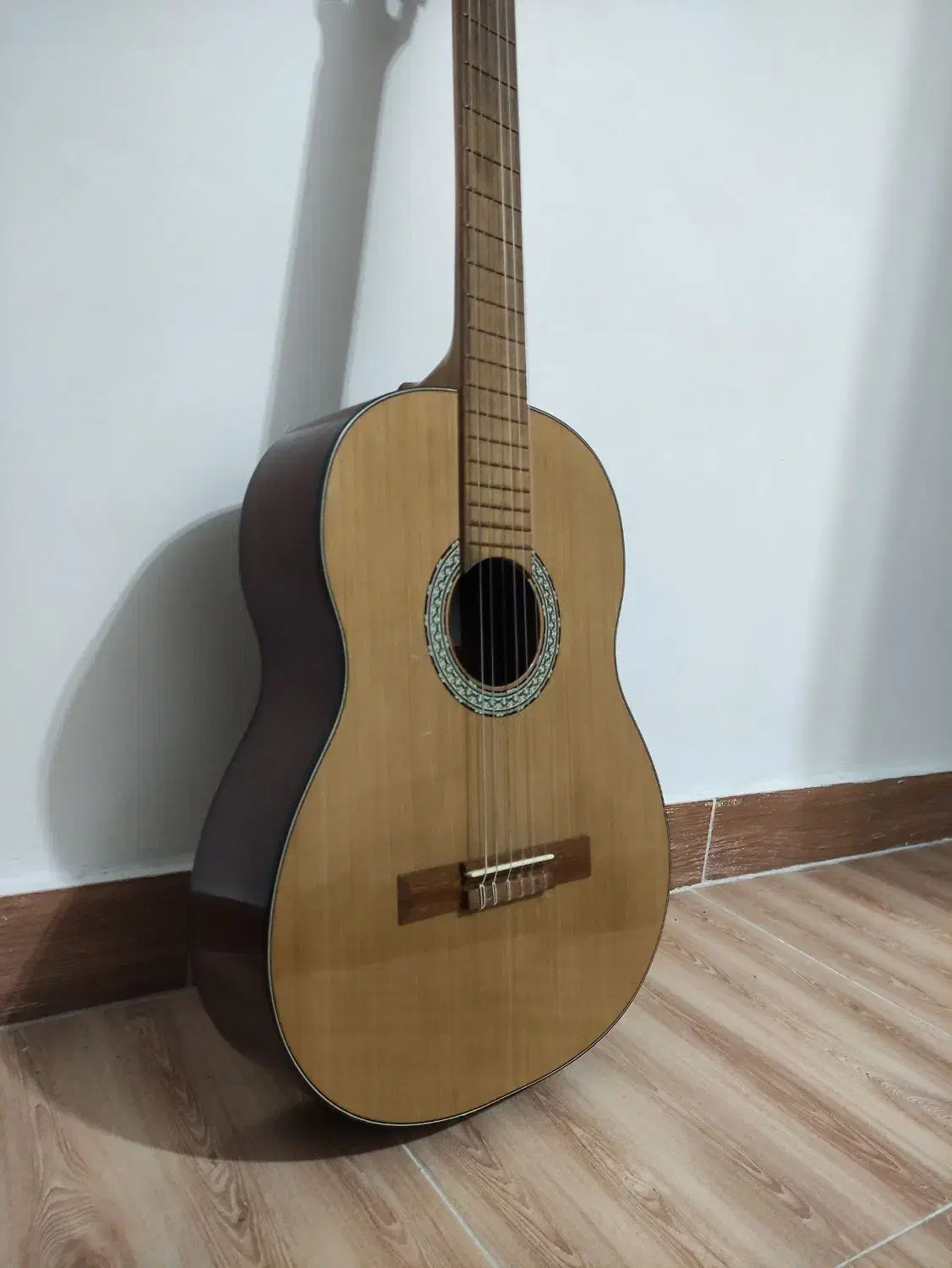 گیتار|گیتار، بیس، امپلیفایر|تولم شهر, |دیوار