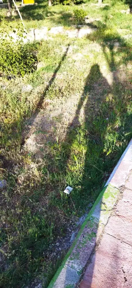 خاک|فروش زمین و ملک کلنگی|فرح آباد, |دیوار