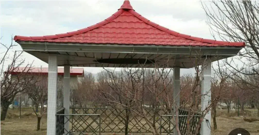 شیروانی س|کلکسیون و سرگرمی|قم, ولیعصر|دیوار