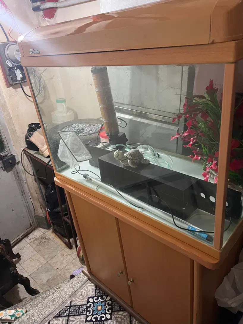 آکواریوم همراه بامیز|ماهی|رشت, استقامت ۲|دیوار