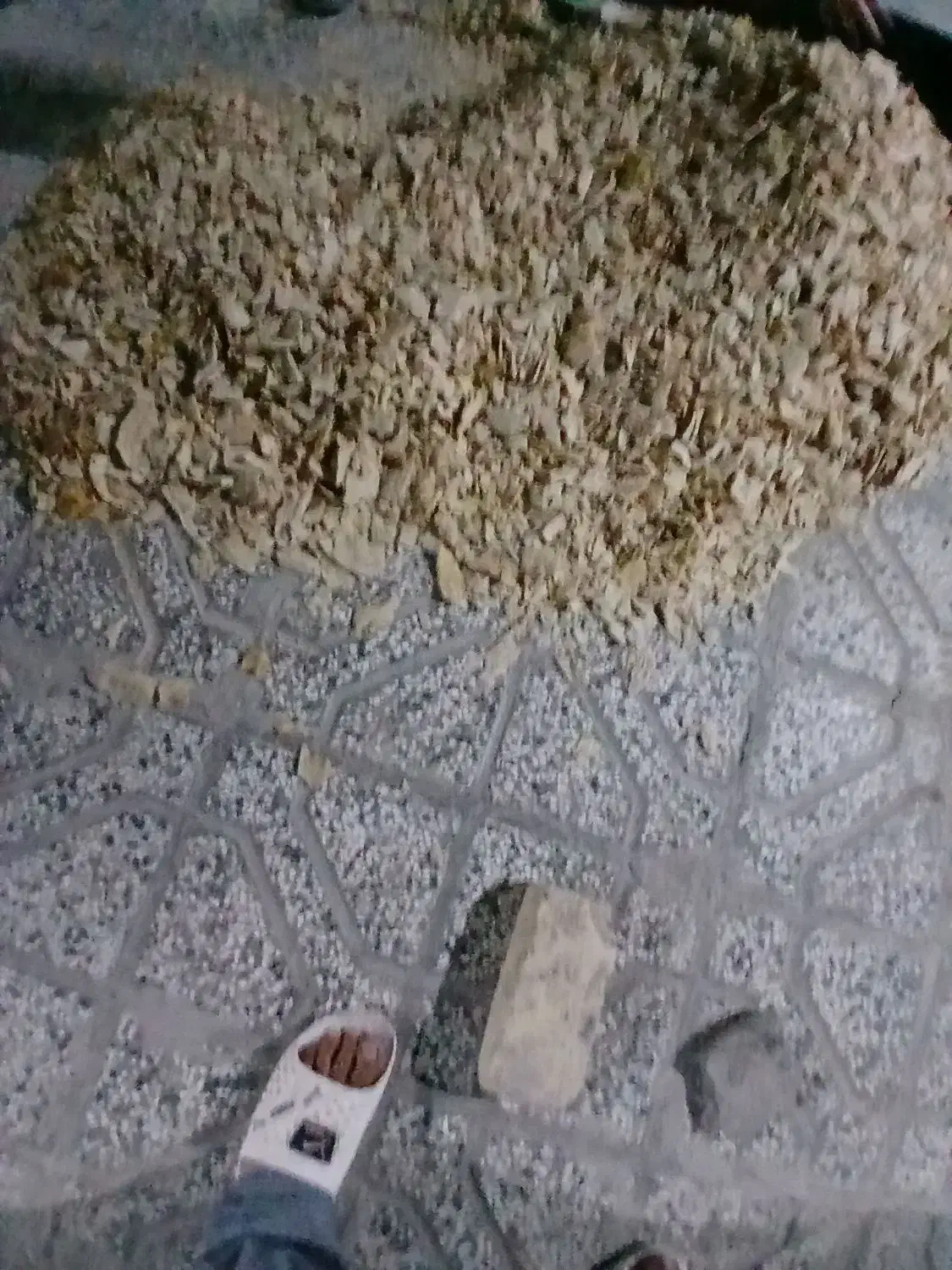 نان خشگ فروشی حدود ۱۸۰ ۲۰۰کیلو|خوردنی و آشامیدنی|تربت‌حیدریه, حیدرآباد|دیوار