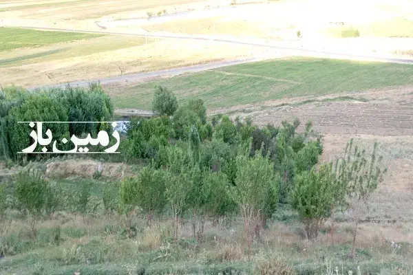 زمین کشاورزی|فروش دفتر صنعتی، کشاورزی، تجاری|چادگان, |دیوار