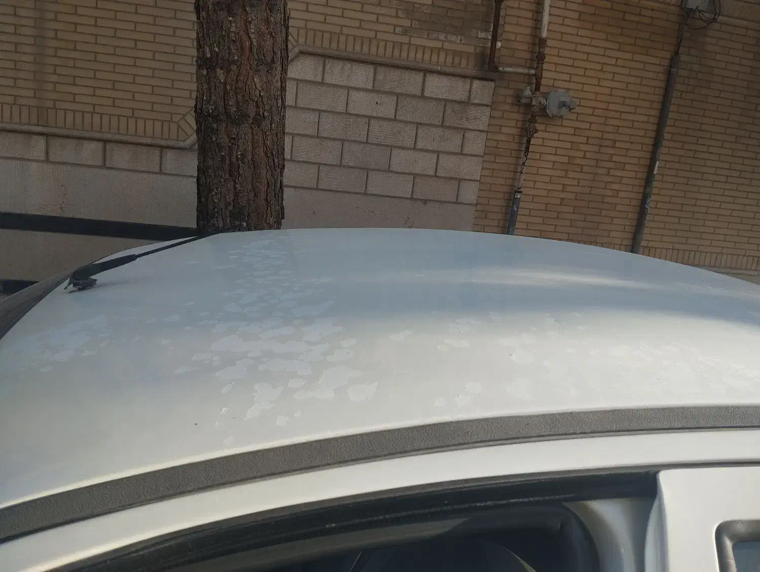 ساینا|خودرو سواری و وانت|شیراز, رکن‌آباد|دیوار