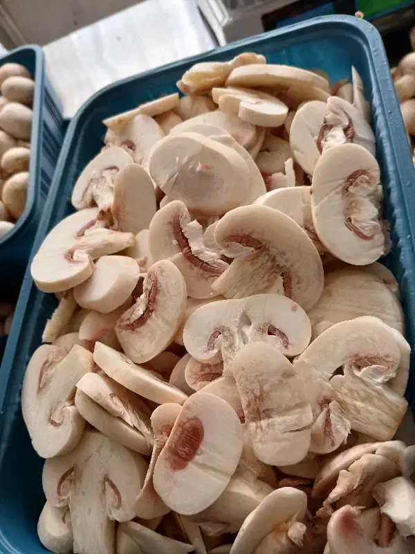 پخش انواع قارچ تازه و اسلایس|خوردنی و آشامیدنی|تهران, سهروردی|دیوار