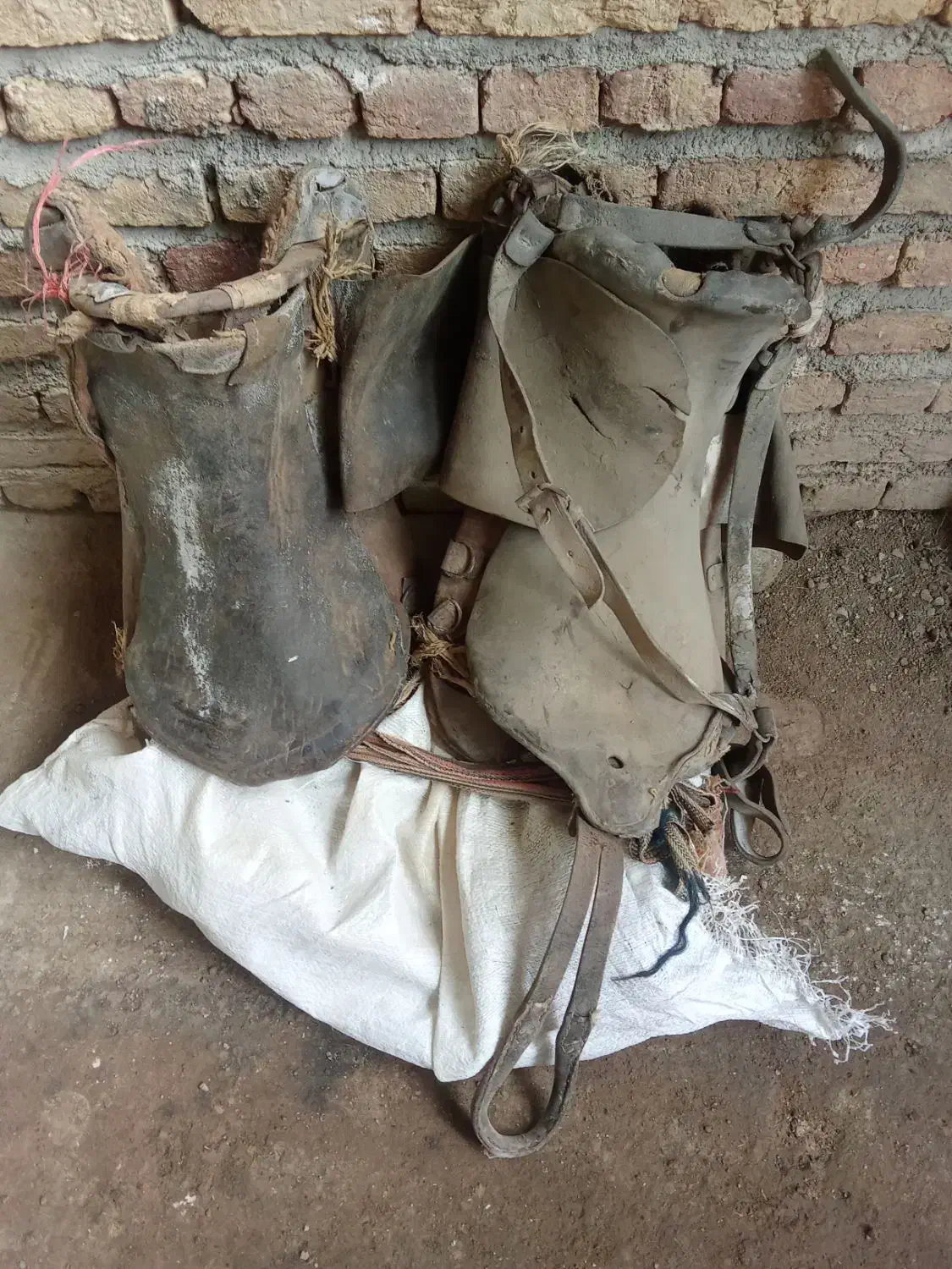 زین اسب|اسب و تجهیزات اسب‌سواری|سلماس, |دیوار