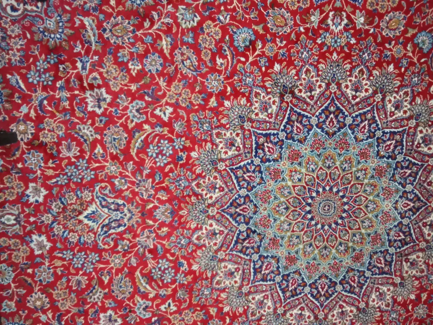 فرش دوازده متری|فرش|طرقبه, |دیوار