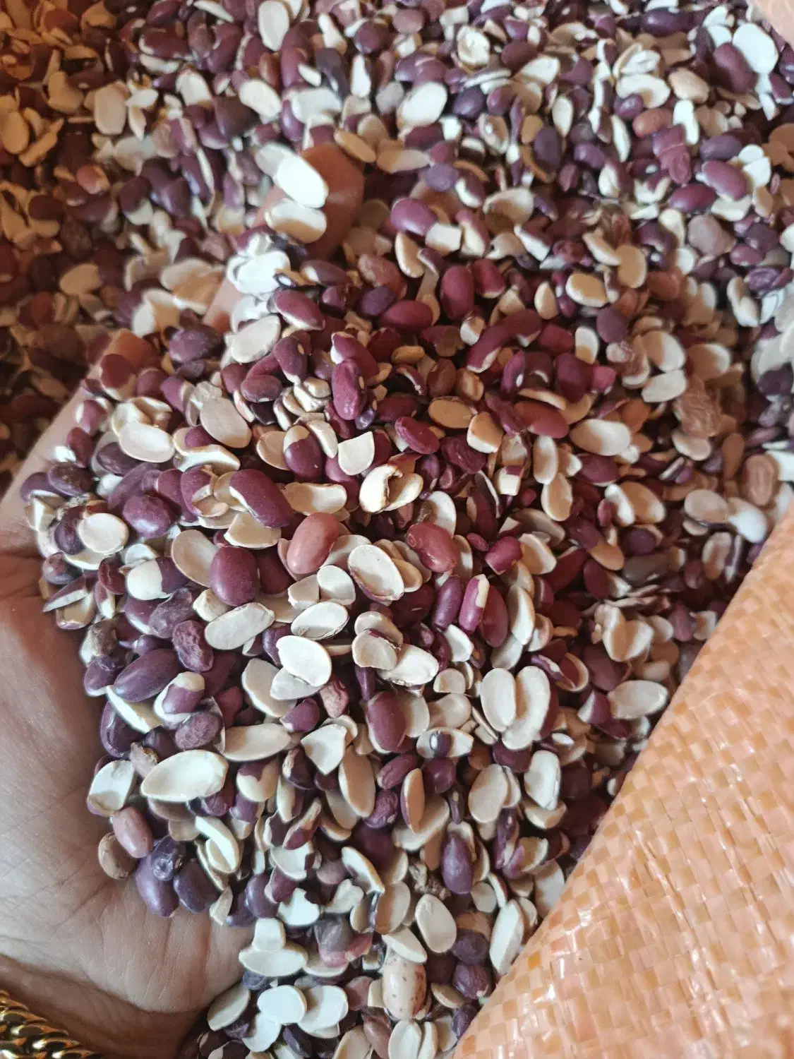 دو تن دولپه لوبیا قرمز لیزر شده|خوردنی و آشامیدنی|شیراز, بهارستان|دیوار