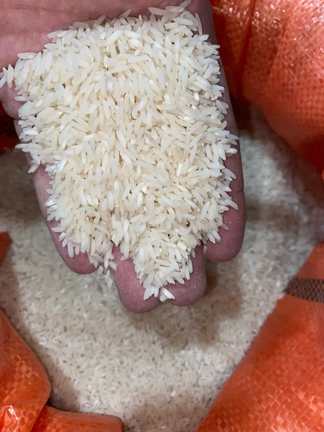 برنج صدری درجه یک گیلان زیر قیمت|خوردنی و آشامیدنی|دالخانی, |دیوار