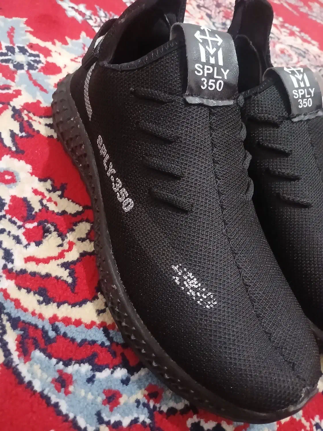 کفش|کیف، کفش، کمربند|شیراز, کفترک|دیوار