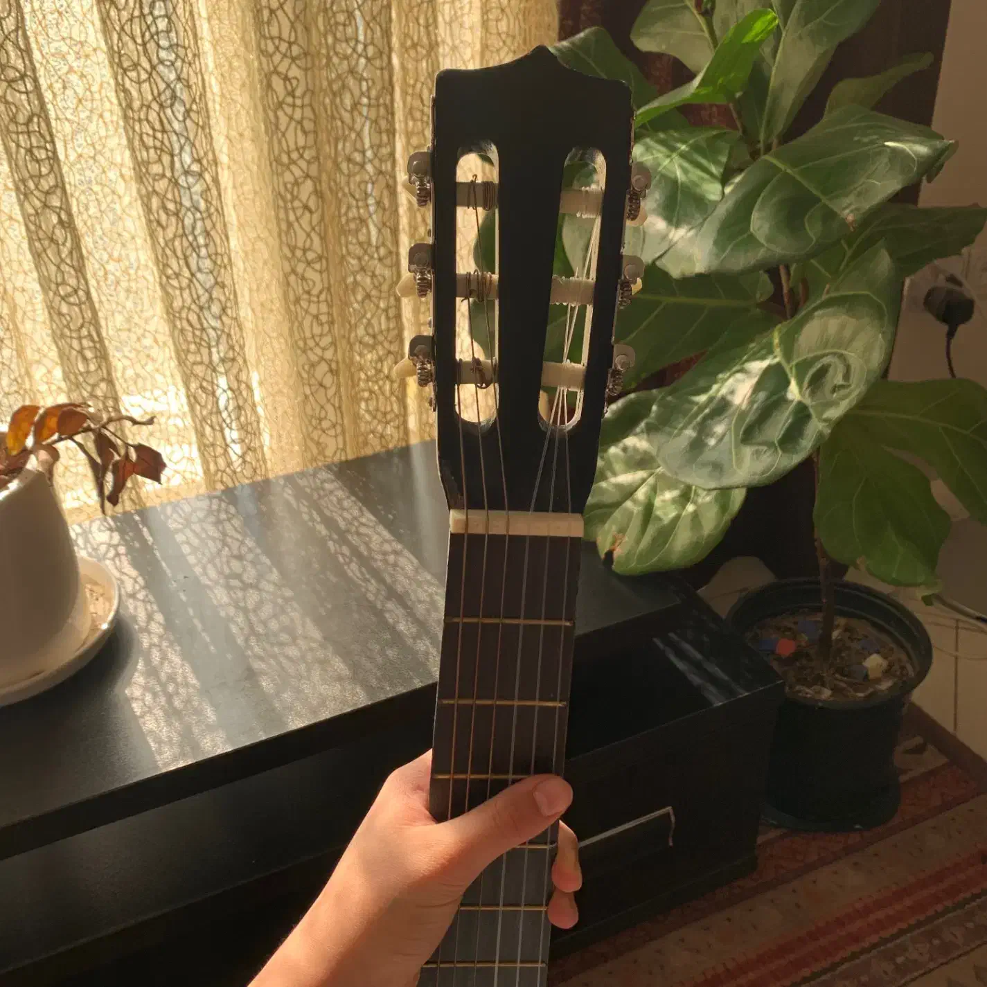 گیتار مشکی نو|گیتار، بیس، امپلیفایر|تهران, پونک|دیوار