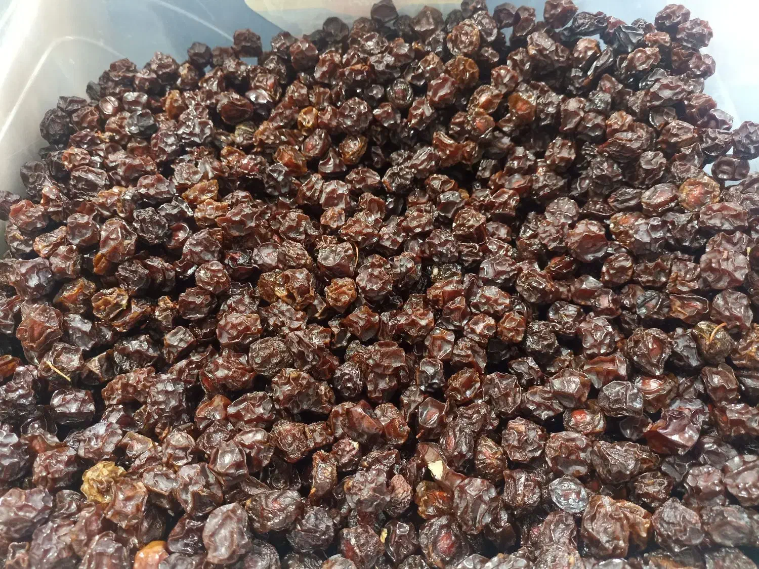 آلوچه ترش و شیرین (هلی)|خوردنی و آشامیدنی|دابودشت, |دیوار