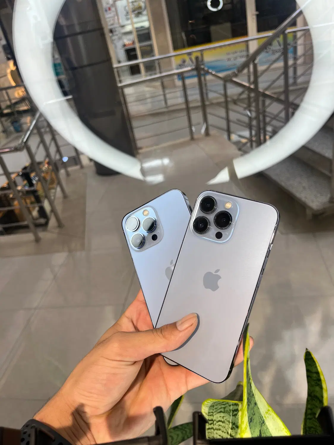 iphone13pro|موبایل|گنبد کاووس, |دیوار