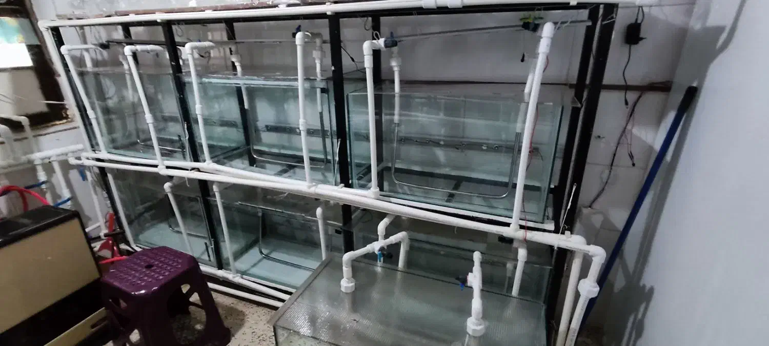 آکواریوم به همراه پایه و پمپ هوای مرکزی|ماهی|محمدیه-قزوین, |دیوار