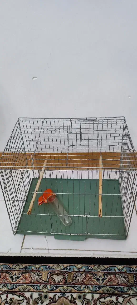 قفس پرنده|لوازم جانبی حیوانات|رشت, کوی جام جم|دیوار