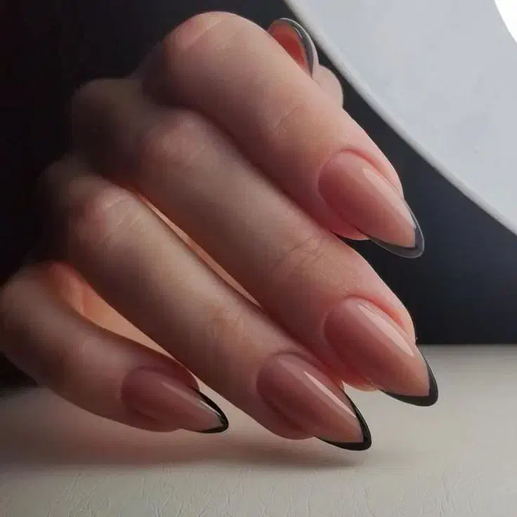 آموزش ناخن ترمیم کاشت سیدی بلوار صبا اصلانی|خدمات آرایشگری و زیبایی|مشهد, انقلاب|دیوار