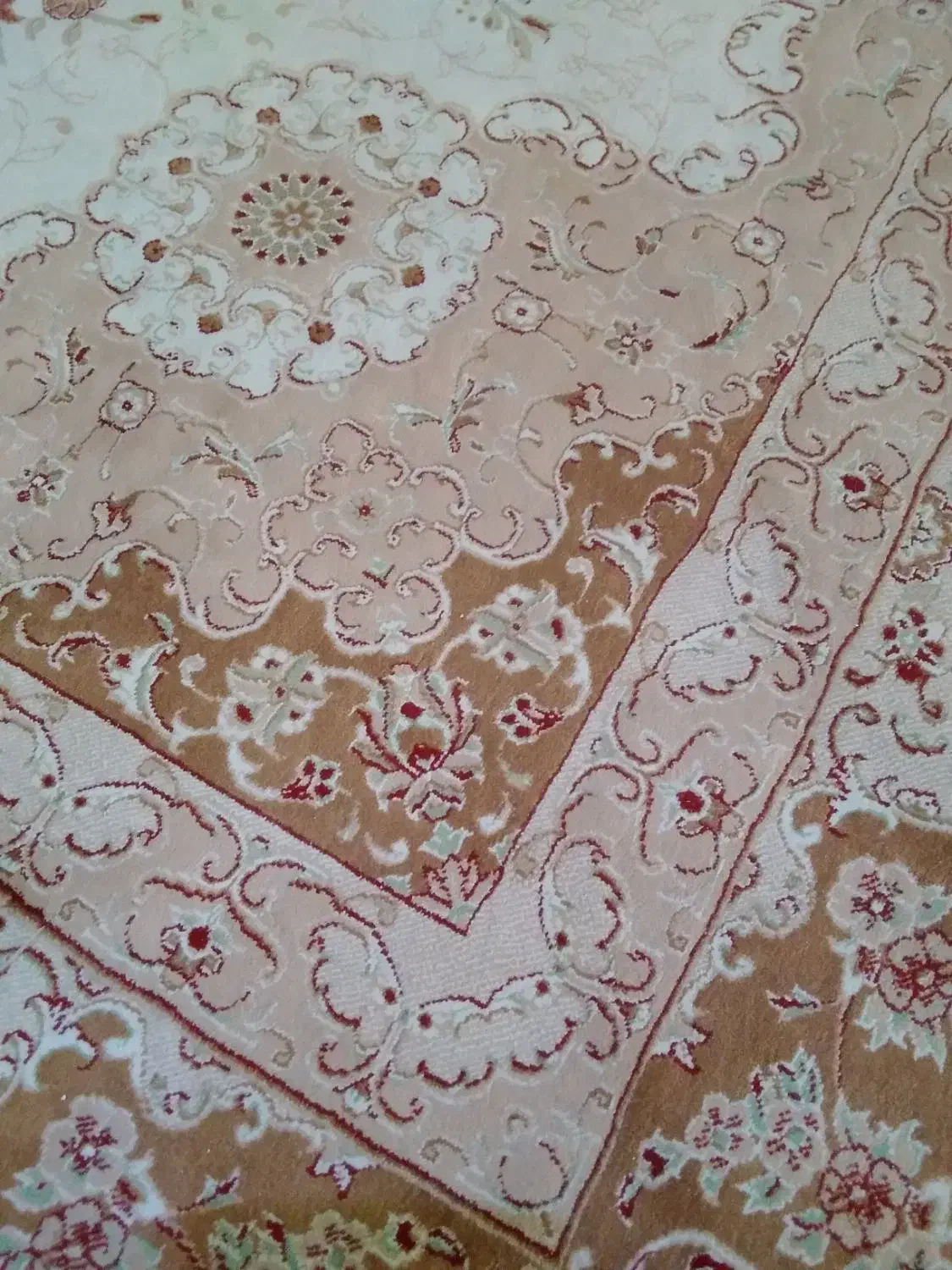 فرش و یک عدد سرخ کن سالم کارکرده|فرش|گرگان, |دیوار