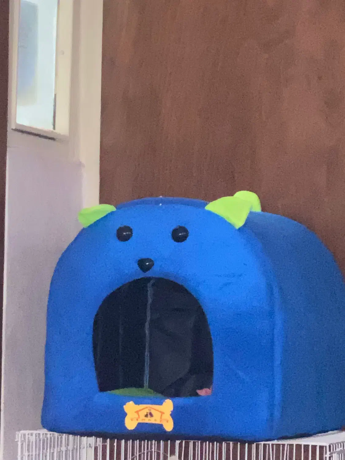 جای خواب سگ|لوازم جانبی حیوانات|تهران, آهنگ|دیوار