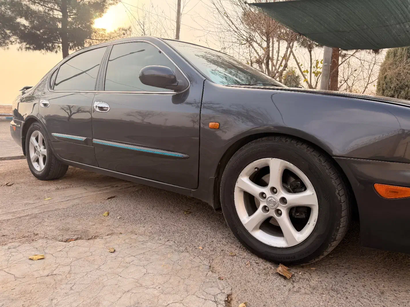 ماکسیما مدل ۸۱ دنده|خودرو سواری و وانت|شاهین‌شهر, نبوت|دیوار