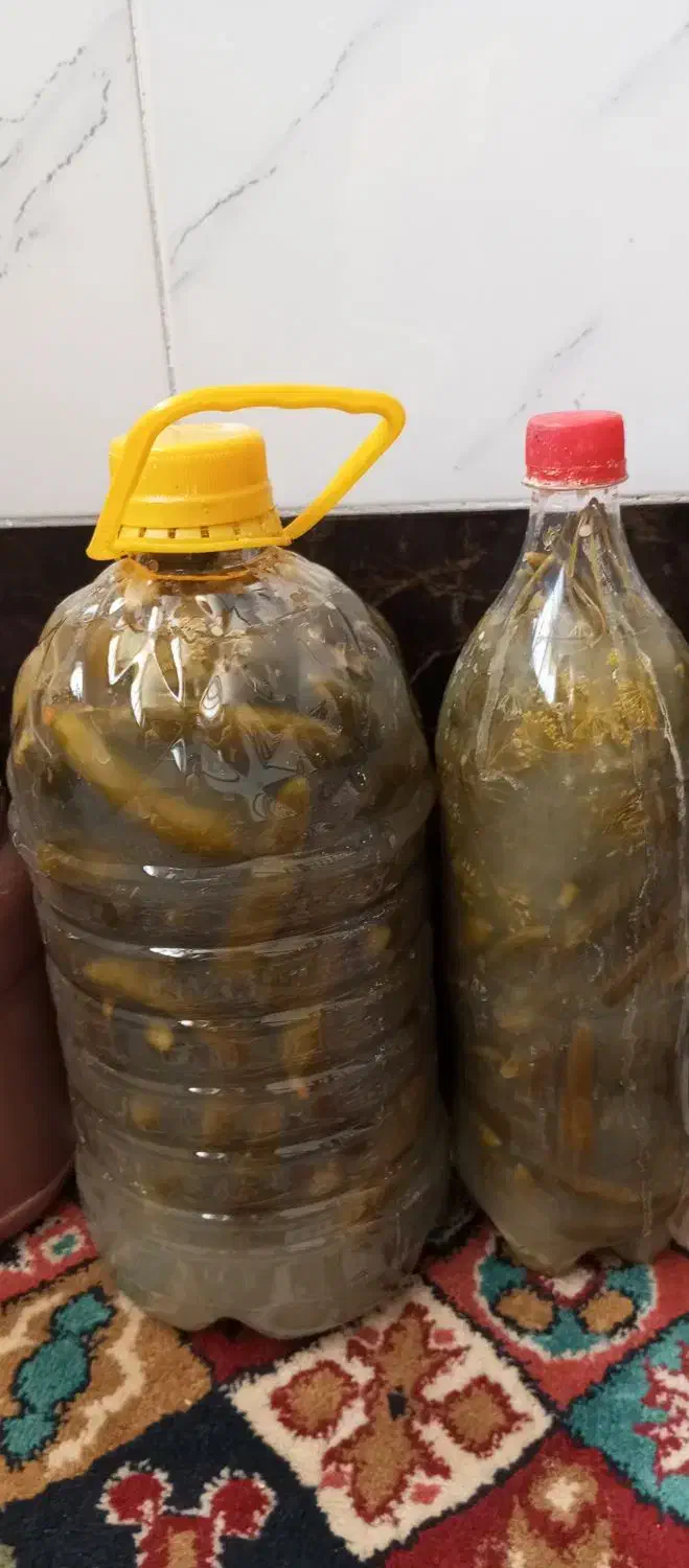 خیارشور همدان|خوردنی و آشامیدنی|قم, چهل درخت‎|دیوار