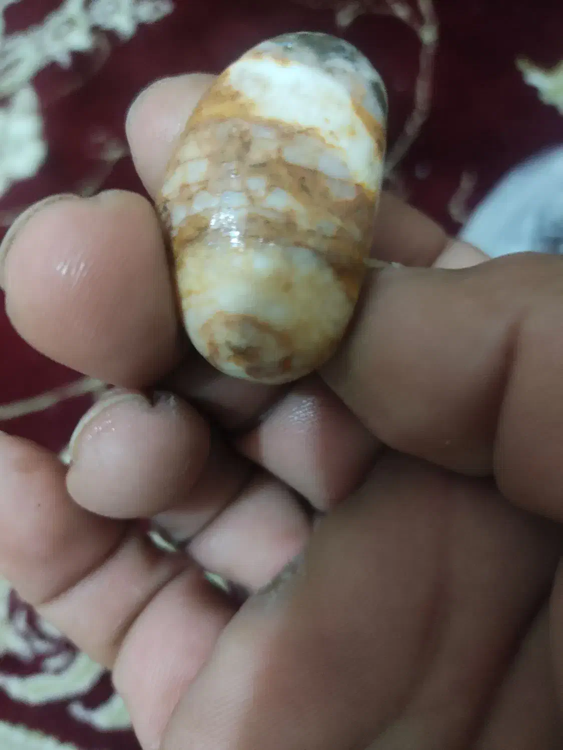 سنگ آنتیک و زینتی|زیورآلات و اکسسوری|بندر گز, |دیوار