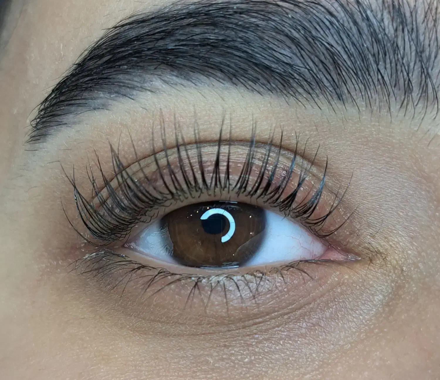 رایگان لیفت ‌مژه رایگان برای عکاسی پیج|خدمات آرایشگری و زیبایی|آمل, |دیوار