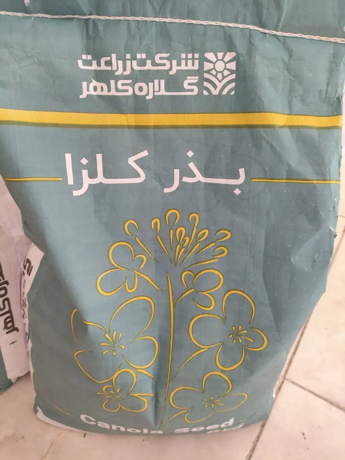 بذر کلزا|گل و گیاه طبیعی|بندر ترکمن, |دیوار