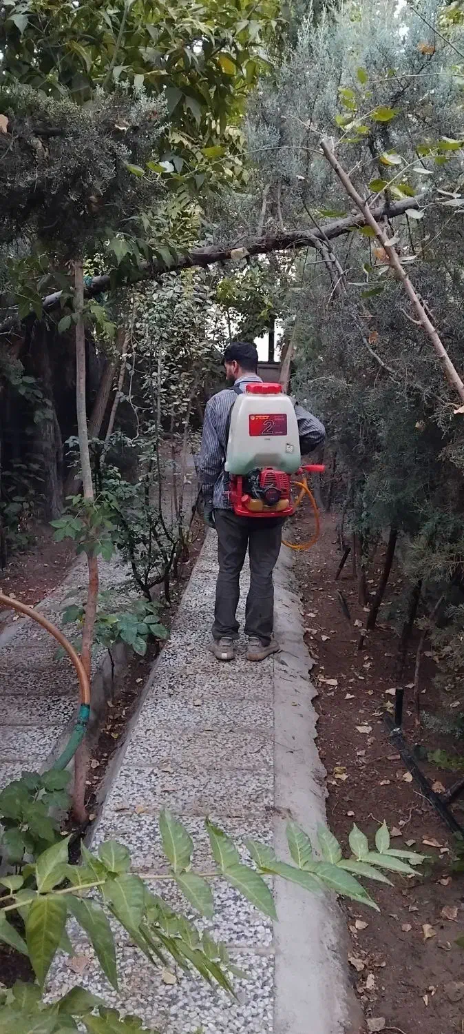 خدمات انواع گل و گیاه|خدمات باغبانی و درختکاری|تهران, اقدسیه|دیوار