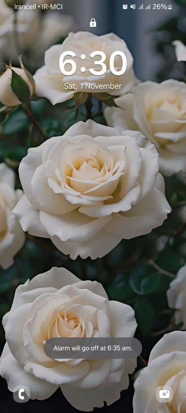 سرویس ادارات و شرکت ها|خدمات حمل و نقل|اندیمشک, |دیوار