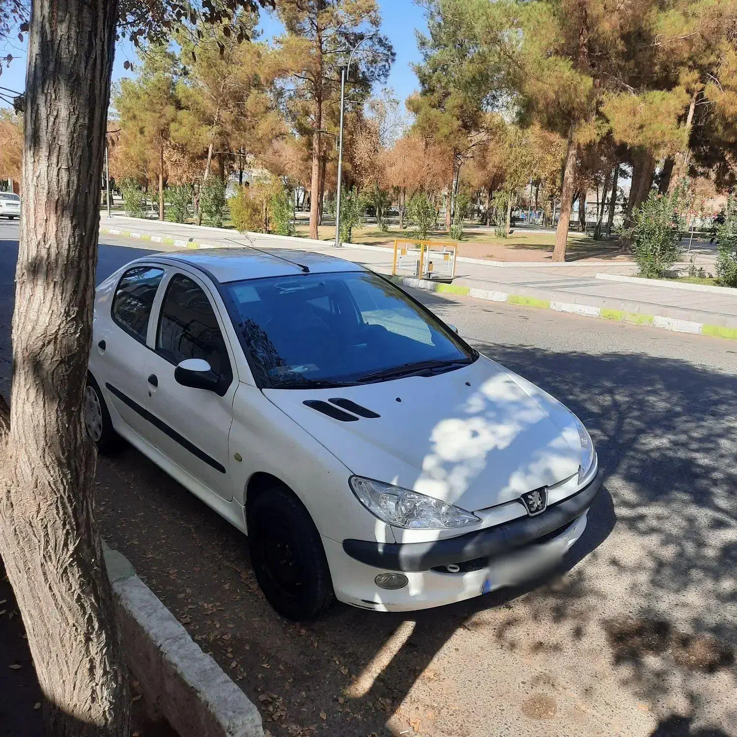 206SD V8|خودرو سواری و وانت|کرمان, |دیوار