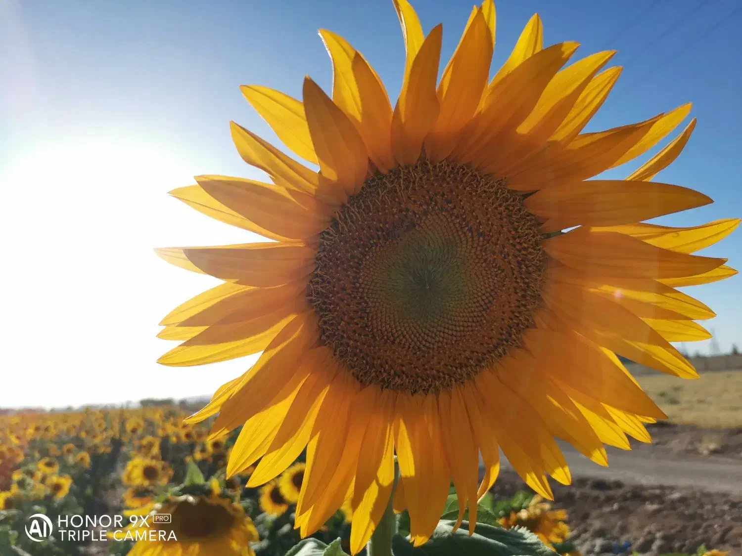 فیش حج واجب|تور و چارتر|برخوار, |دیوار