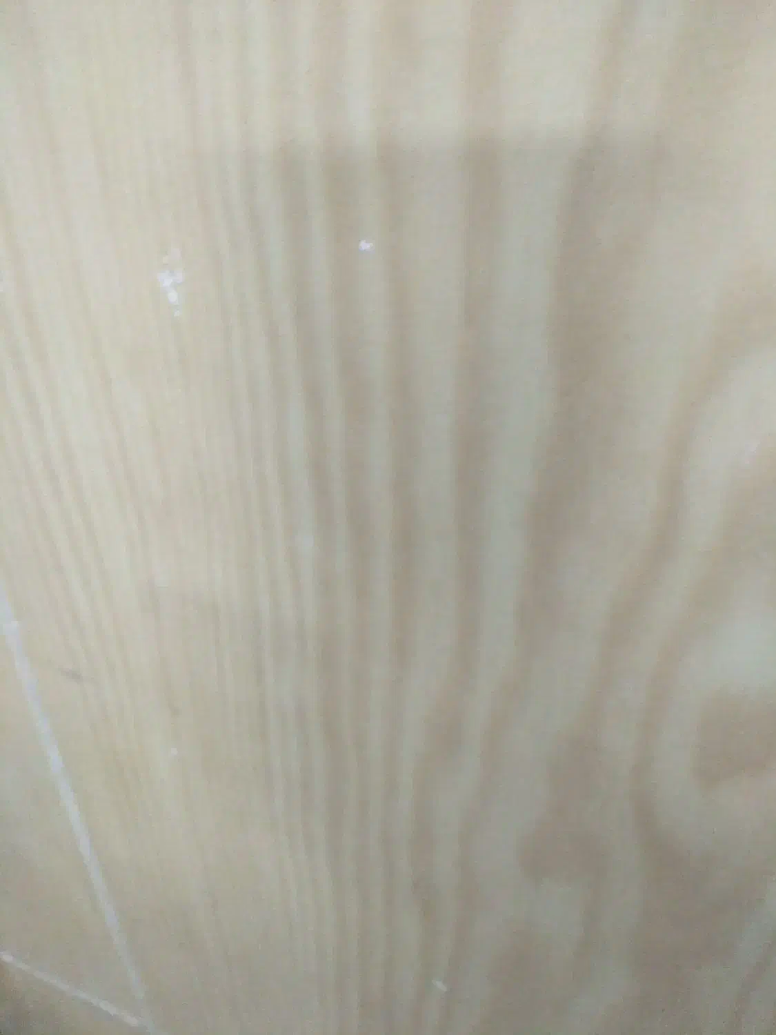 حمل بار با وانت نیسان داخل شهری لار|خدمات حمل و نقل|لار, |دیوار