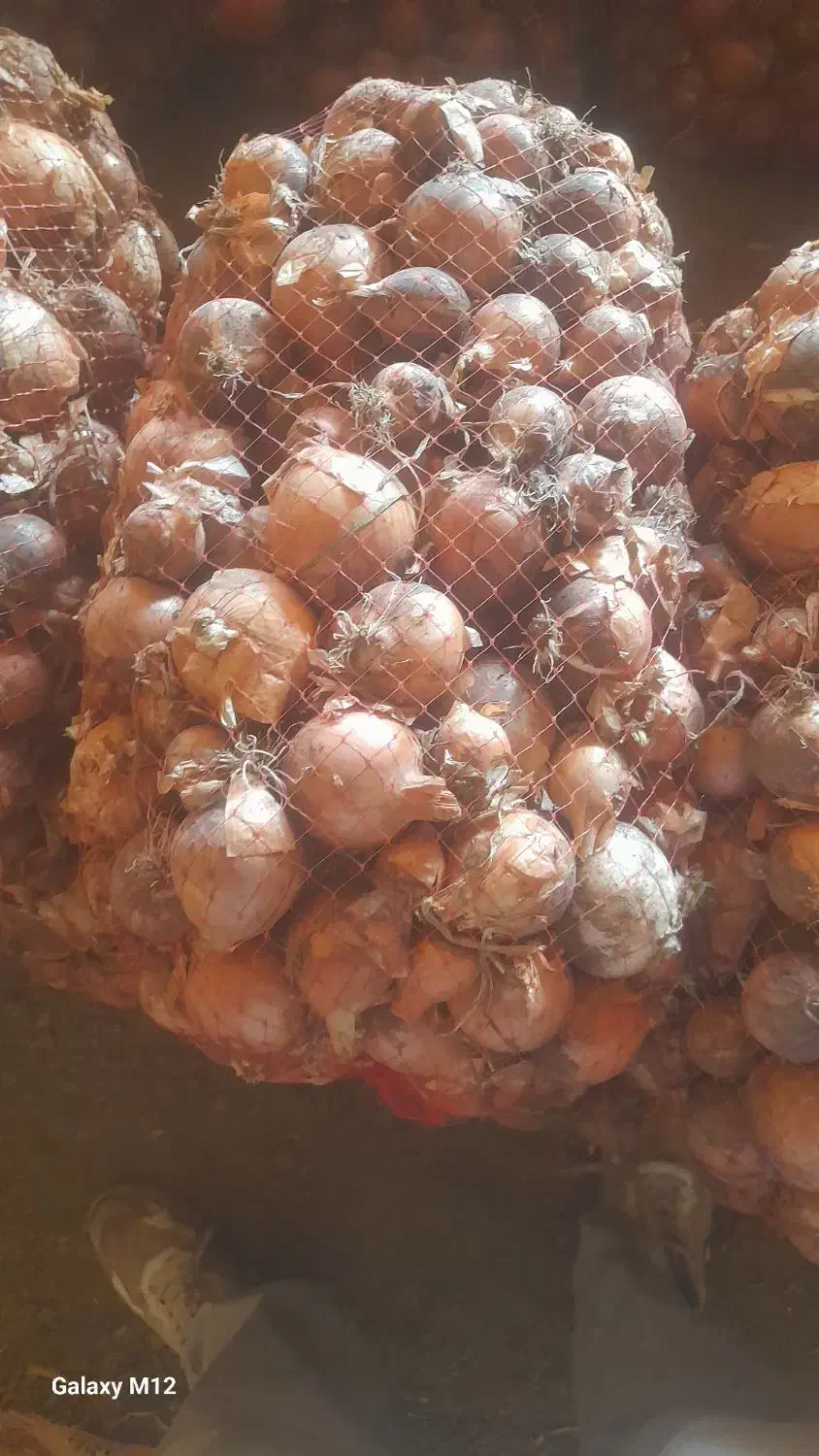 ۲۰پیاز|خوردنی و آشامیدنی|سبزوار, قاضی زاد|دیوار