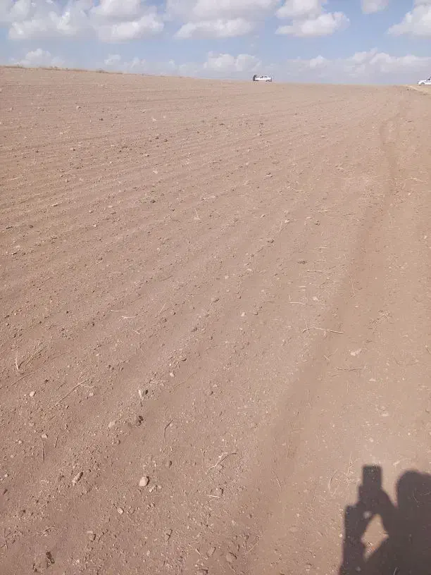 زمین کشاورزی|اجارهٔ دفتر صنعتی، کشاورزی، تجاری|کرفتو, |دیوار