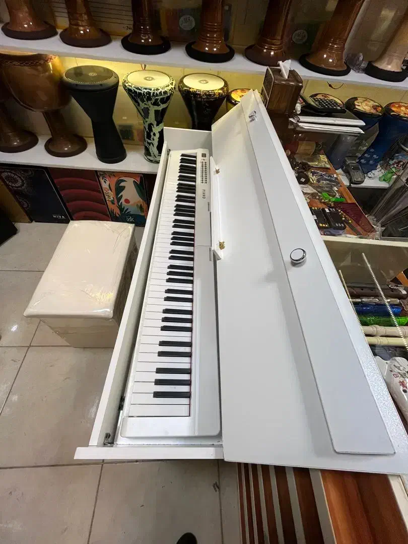 پیانو پرتابل دیجیتال گالری موسیقی آرتیاپاساژشهرسبز|پیانو، کیبورد، آکاردئون|لاهیجان, انقلاب|دیوار
