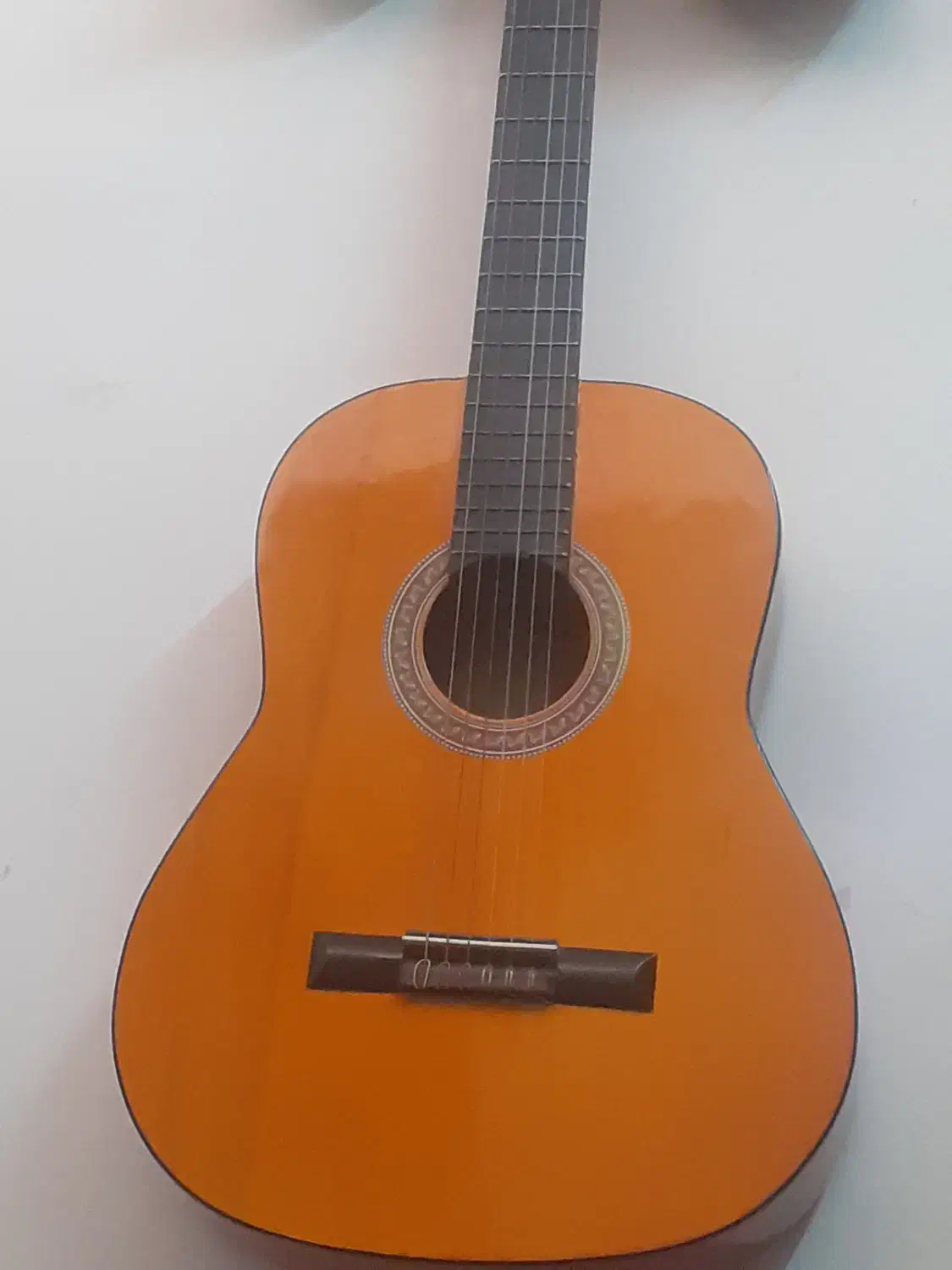 گیتار فروشی|گیتار، بیس، امپلیفایر|تربتحیدریه, کلاته توکلی|دیوار