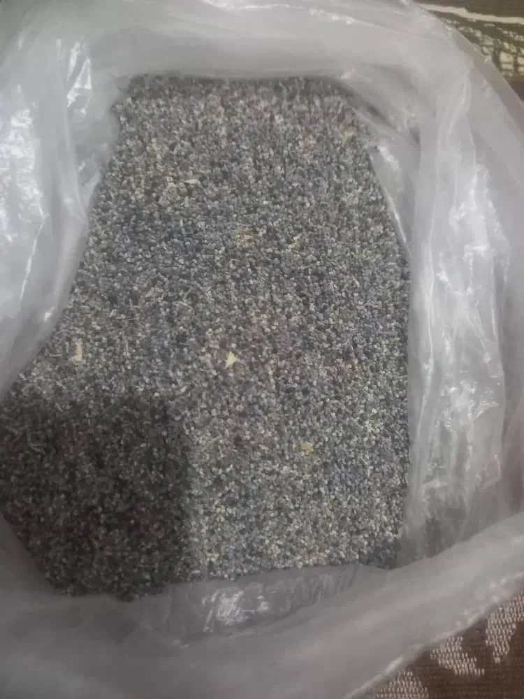 بذر دیم|لوازم جانبی حیوانات|کوهدشت, |دیوار