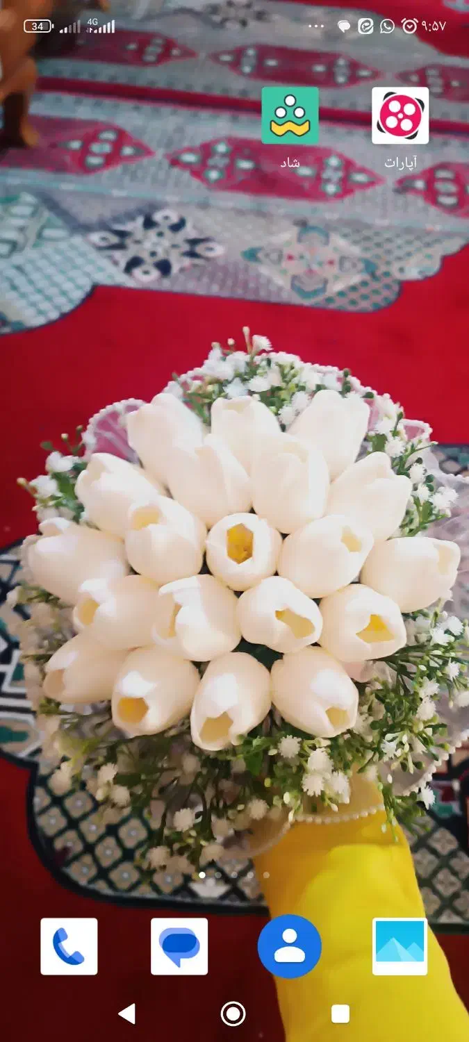 لوبیا معاوضه بابرنج|خوردنی و آشامیدنی|چیتاب, |دیوار