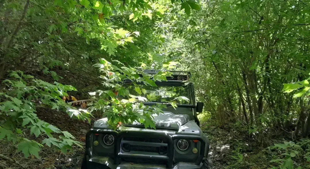 طبیعت گردی /تور1روزه /دورهمی دوستانه|تور و چارتر|مشهد, آزادشهر|دیوار