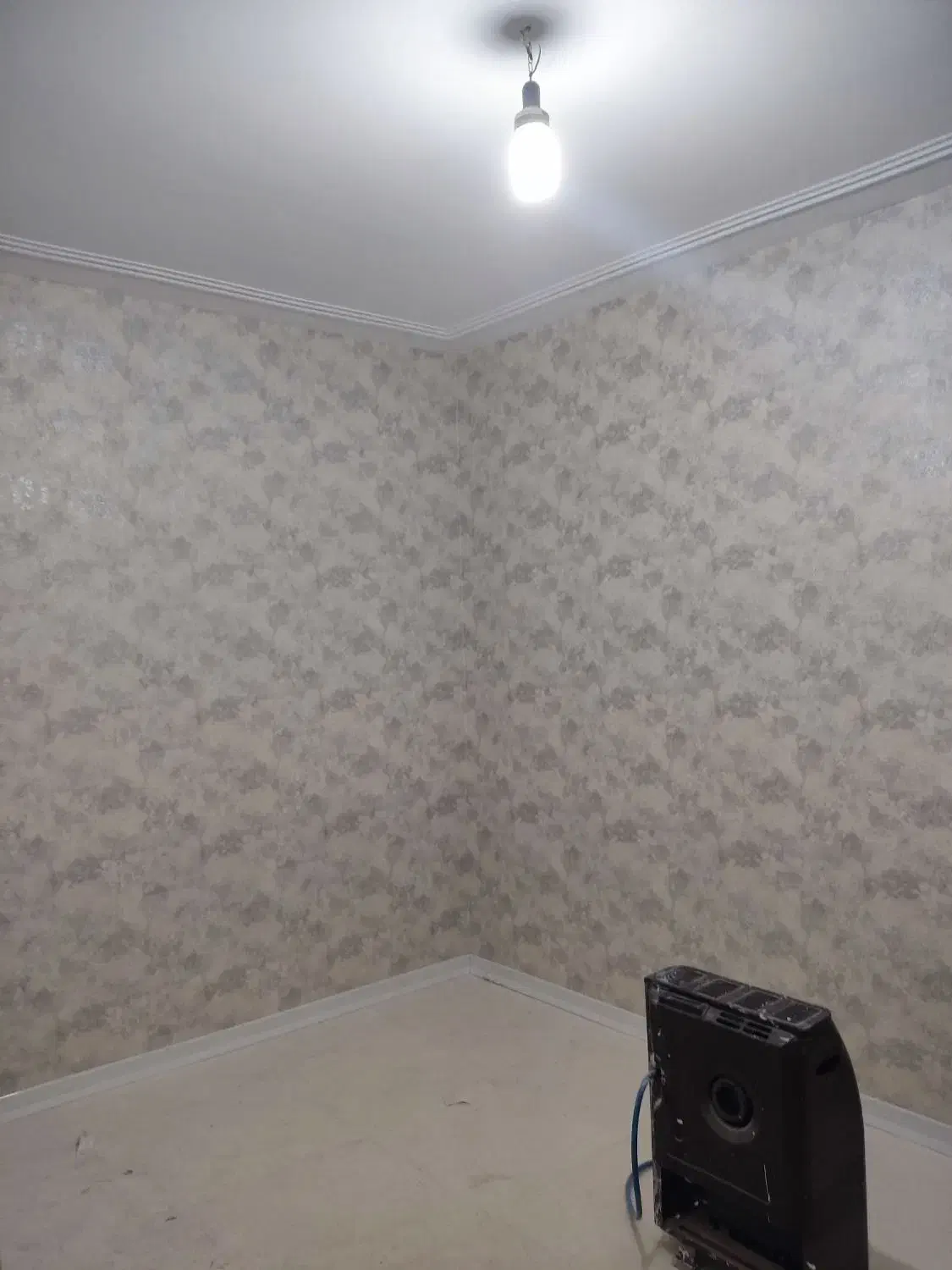 رنگ آمیزی صفر تا صد|خدمات پیشه و مهارت|دوگنبدان, |دیوار