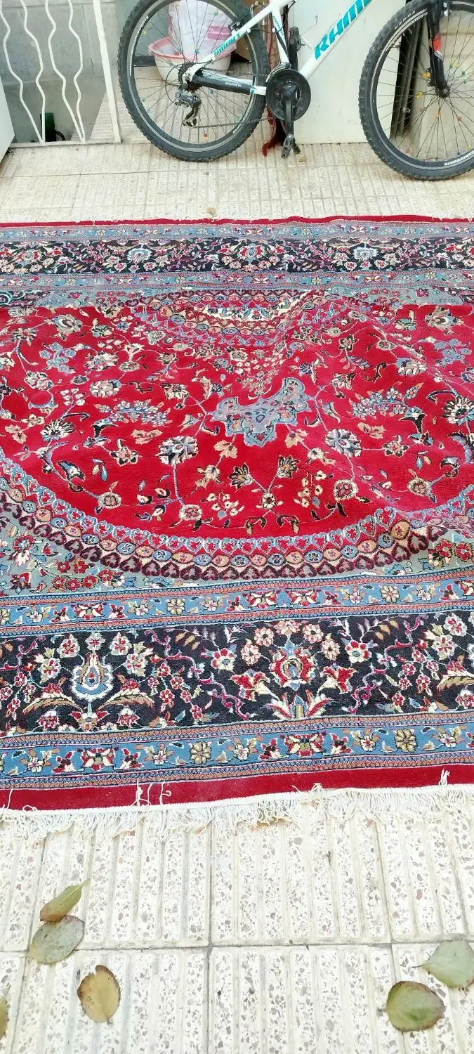 فرش دوازده متری|فرش|شاهرود, |دیوار