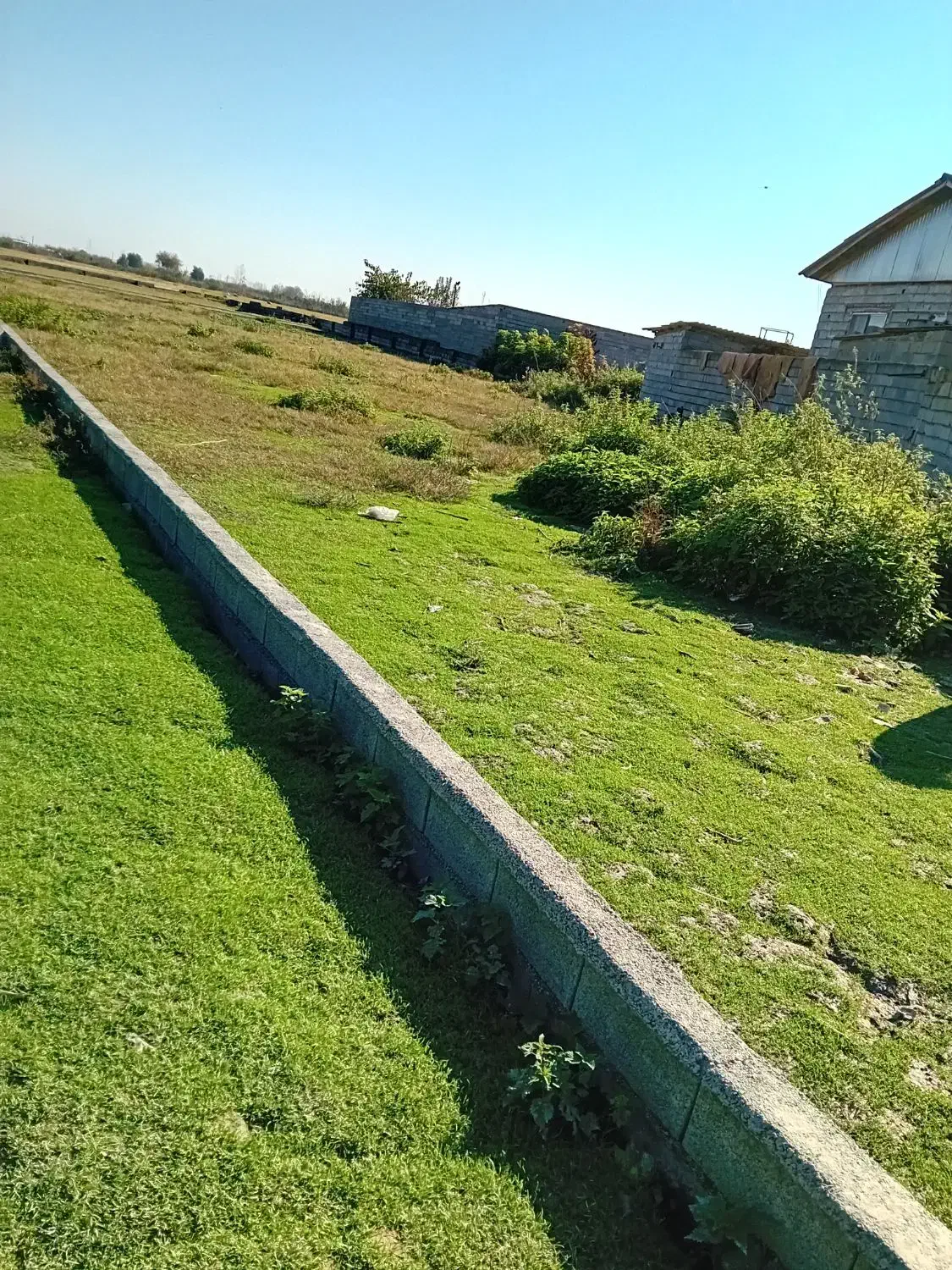 زمین شهرکی اقساطی( دوپلاک باقی مونده)|فروش زمین و ملک کلنگی|دابودشت, |دیوار