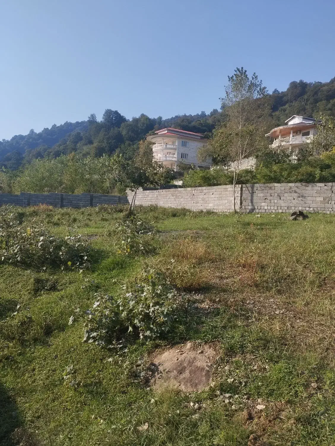 بام پیرهرات سندتک برگ با پروانه عروسک|فروش زمین و ملک کلنگی|اسالم, |دیوار