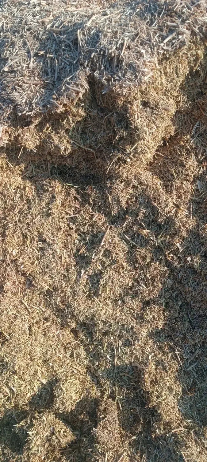 فروش سامان نخود|لوازم جانبی حیوانات|بوکان, |دیوار