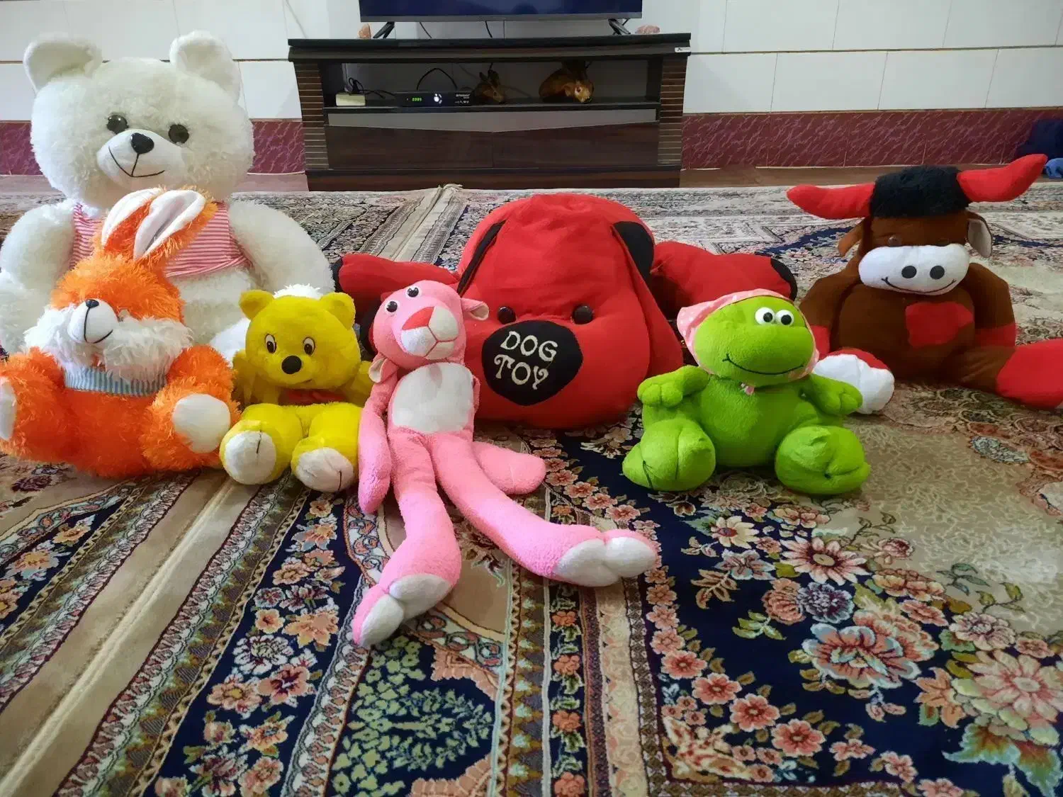 عروسک ها|اسباب‌بازی بچه|پاکدشت, پاکدشت (مامازند)|دیوار