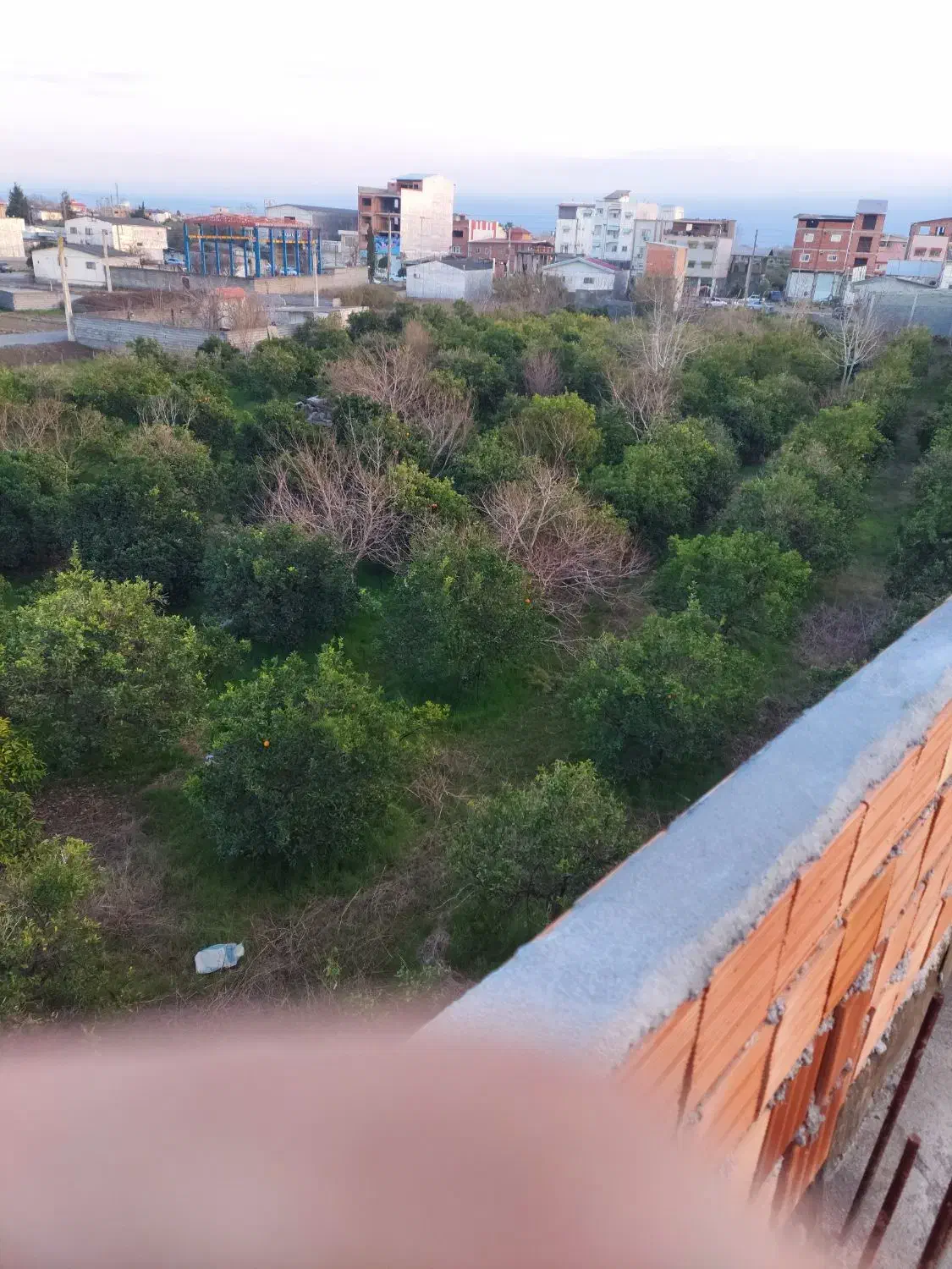 زمین سه بر کله بست ، بر بلوار روحانی|فروش زمین و ملک کلنگی|هادی شهر, |دیوار