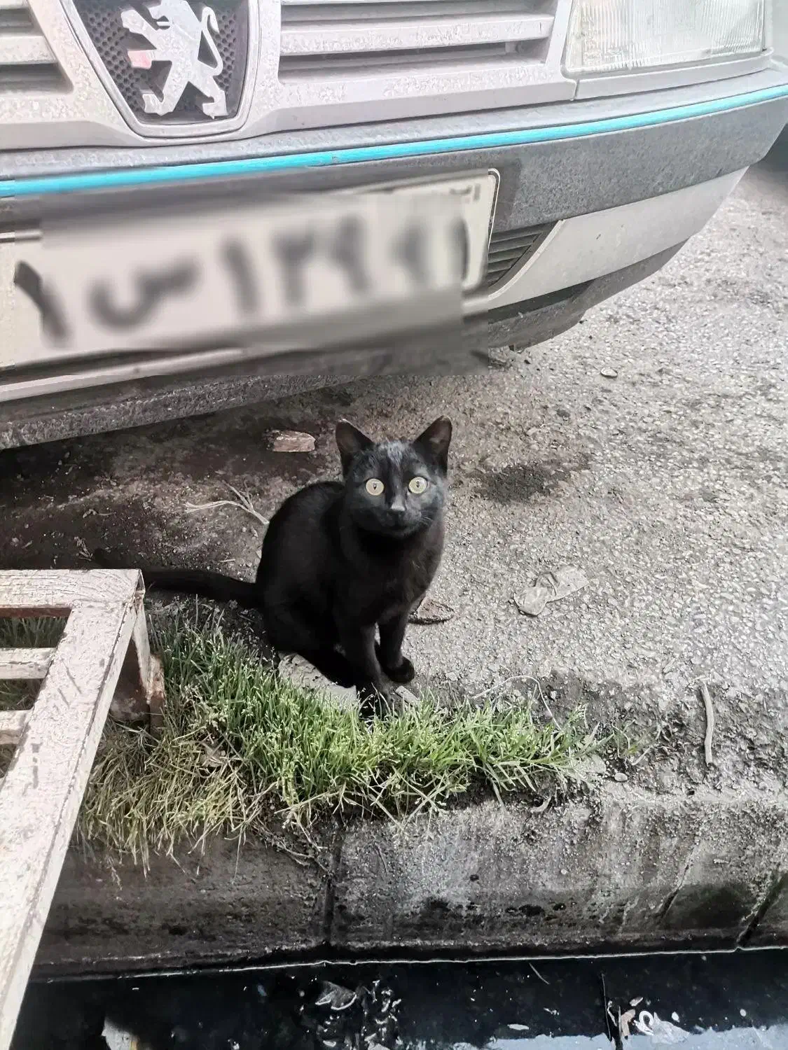 پژو 405 مدل 87|خودرو سواری و وانت|پارس‌آباد, |دیوار